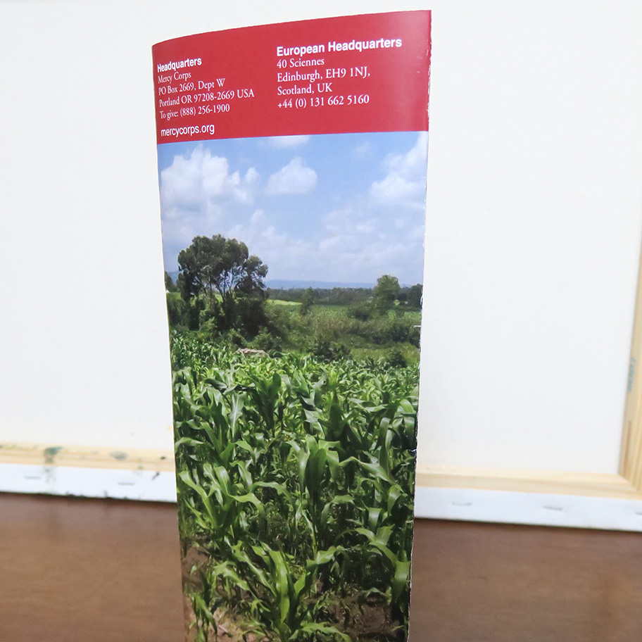 The back of the brochure.