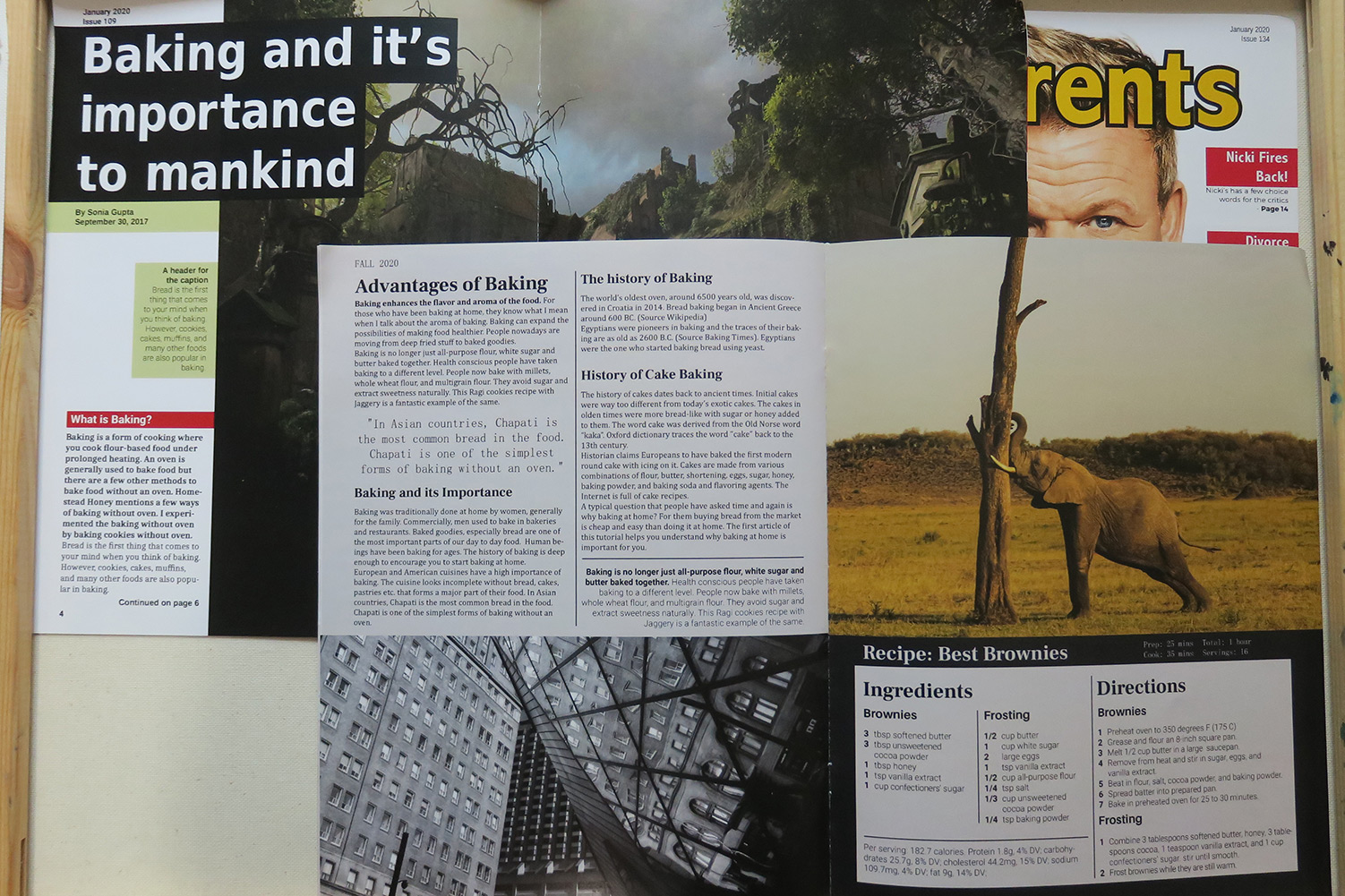 The magazines 'Joystick' and 'Shutter' opened to interior spreads.